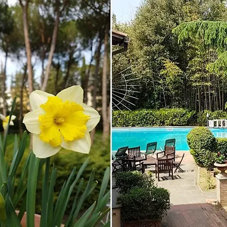 Peaceful In With Private Pool Villa Florence