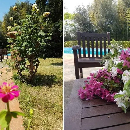 Peaceful In With Private Pool